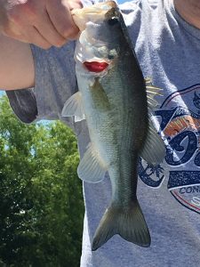 First Bass Caught on My Boat